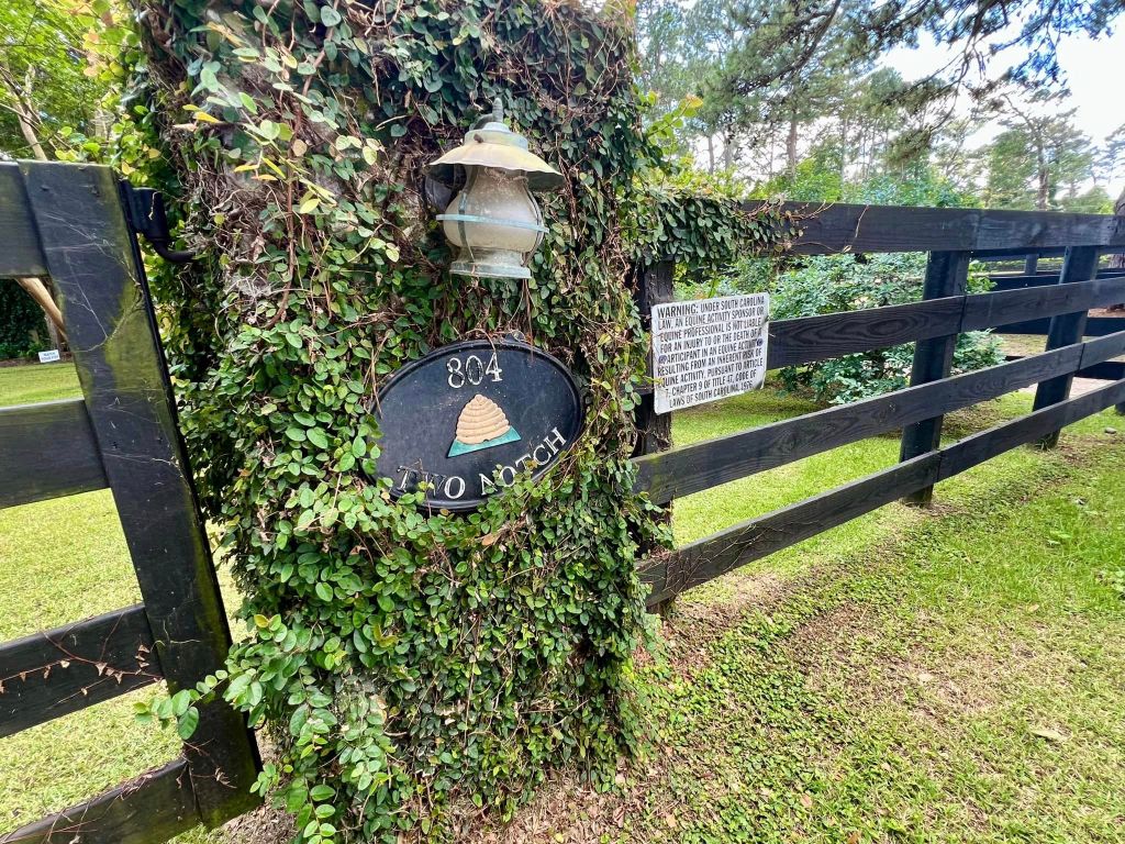 The Butterfly Monarchy Club Impresses at Aiken Garden&nbsp;Show