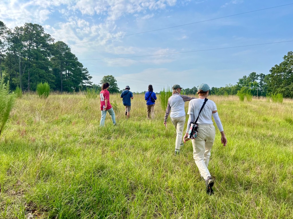 Exciting News for Nature&nbsp;Lovers