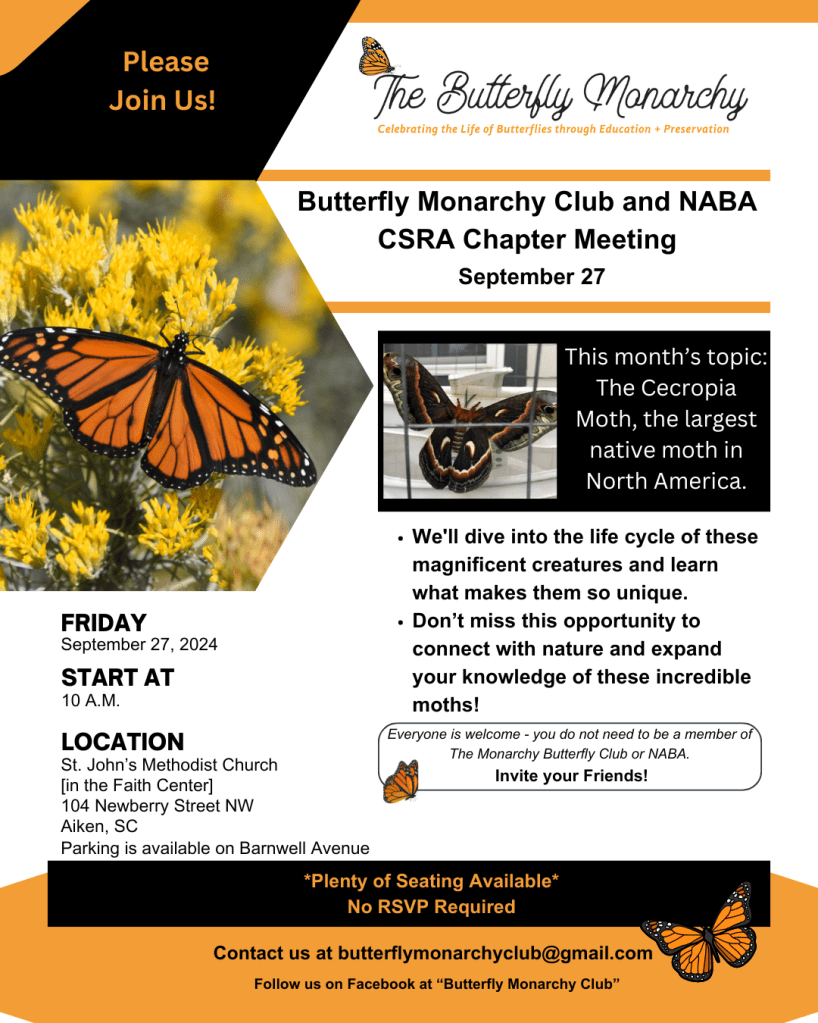 Our Next Meeting Topic will be the Cecropia - the Largest native moth in North America 
