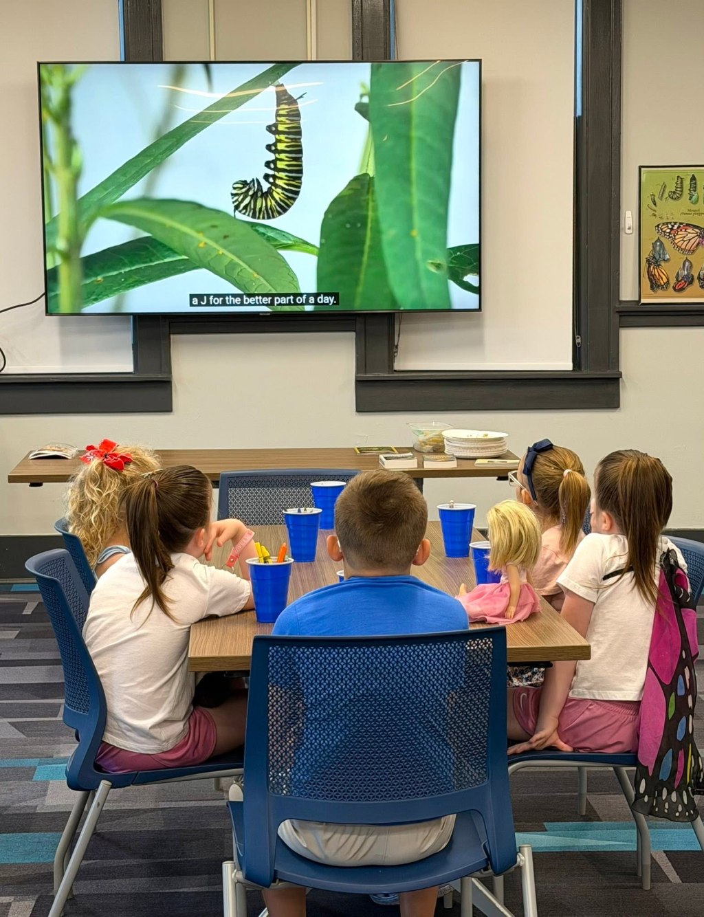 June in Review: Education, Outreach & Conservation